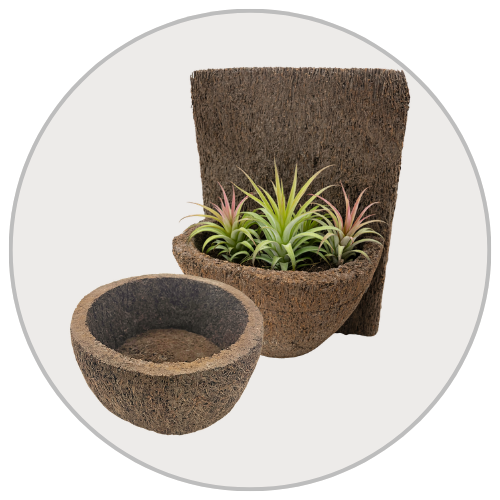 Fern Fiber Pots
