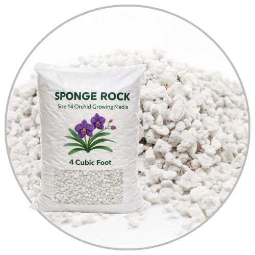 Sponge Rock