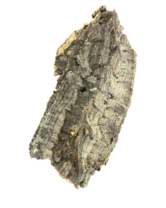Virgin Cork Flat Slab - Natural Orchid Mount