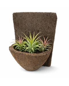 9" x 7" Fern Fiber Wall Mount Orchid Pot