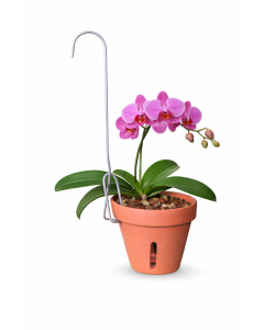 Mini Single Clay Orchid Pot Hanger - Bundle of 25