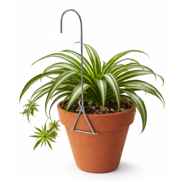 6" Single Clay Orchid Pot Hangers - Bundle of 25
