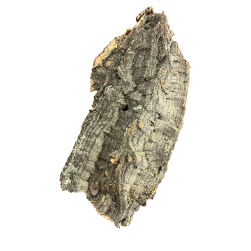 Virgin Cork Flat Slab - Natural Orchid Mount