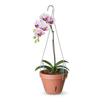 36" Double Clay Orchid Pot Hanger - Bundle of 25
