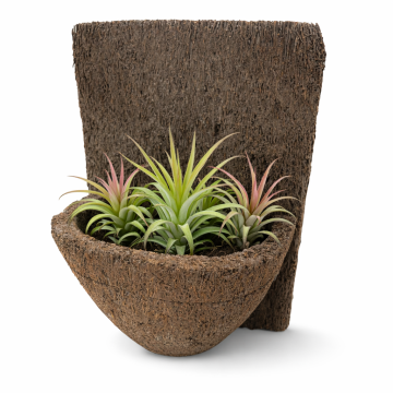 9" x 7" Fern Fiber Wall Mount Orchid Pot