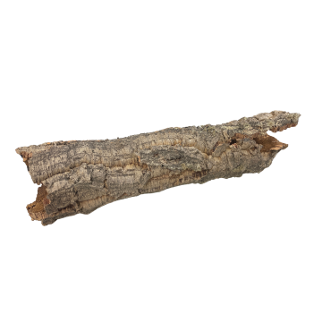Virgin Cork Tube Slab - Natural Orchid Mount