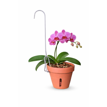 Mini Single Orchid Pot Hanger