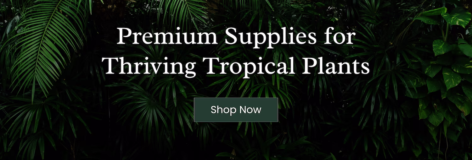 Premium Supplies for Thriving Tropical Plants